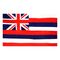 4ft. x 6ft. Hawaii Flag for Parades & Display