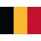 2 ft. x 3 ft. Belgium Flag for Indoor Display
