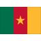 2ft. x 3ft. Cameroon Flag for Indoor Display