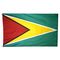 4ft. x 6ft. Guyana Flag w/ Line Snap & Ring