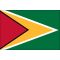 4ft. x 6ft. Guyana Flag for Parades & Display