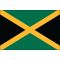 3ft. x 5ft. Jamaica Flag for Parades & Display