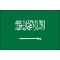 3ft. x 5ft. Saudi Arabia Flag for Parades & Display