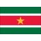 4ft. x 6ft. Suriname Flag for Parades & Display