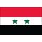 2ft. x 3ft. Syria Flag for Indoor Display