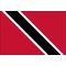 2ft. x 3ft. Trinidad & Tobago Flag for Indoor Display