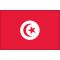 4ft. x 6ft. Tunisia Flag for Parades & Display