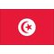 3ft. x 5ft. Tunisia Flag for Parades & Display