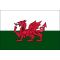 2ft. x 3ft. Wales Flag for Indoor Display