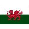 3ft. x 5ft. Wales Flag for Parades & Display