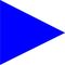Size 6 Subdivision Signal Pennant with Line Snap and Ring