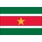 3 ft. x 5 ft. Suriname Flag E-poly with Brass Grommets