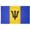 Size 7 Barbados Flag with Canvas Header & Brass Grommets