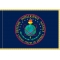 Defense Intelligence Agency Flag with Gold Fringe
