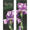30 x 84 in. Seasonal Banner Bearded Iris-Double Sided Design
