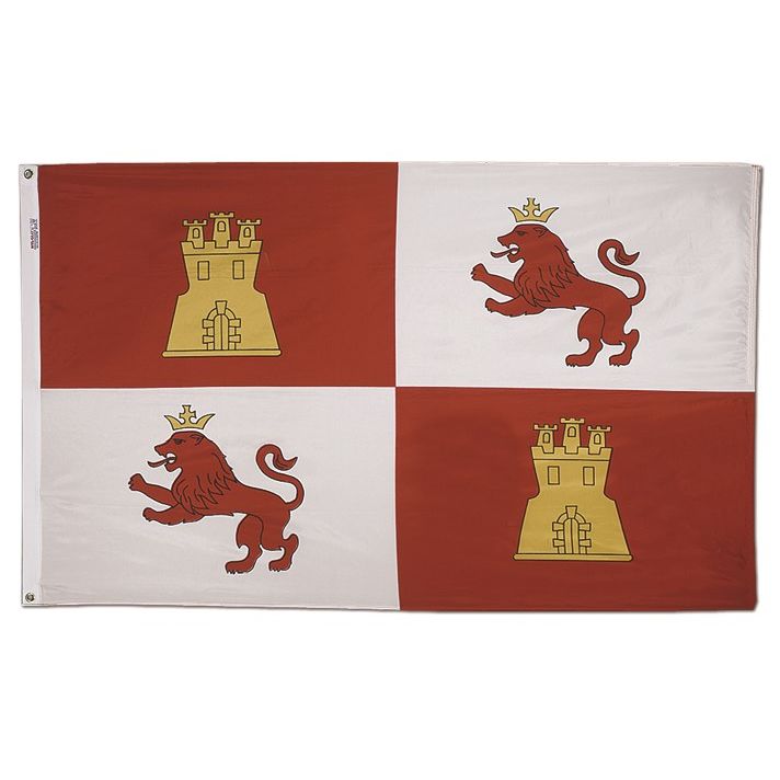 The Lions and Castles Flag 3 x 5 ft. Outdoor Flag